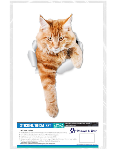 Climbing Ginger Decals