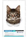 Maine-coon Decals
