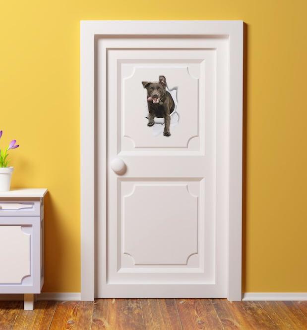 Excited Black Labrador Decals