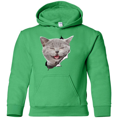 Grey Cat Laughing Youth Pullover Hoodie