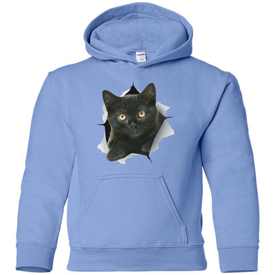 Black Kitten Youth Pullover Hoodie