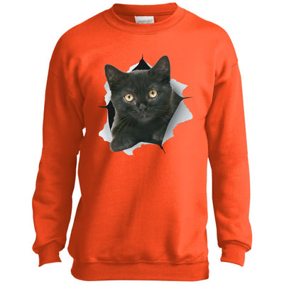 Black Kitten Youth Crewneck Sweatshirt