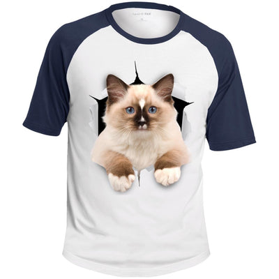 Brown Ragdoll Cat Colorblock Raglan Jersey T-Shirt