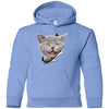 Grey Cat Laughing Youth Pullover Hoodie