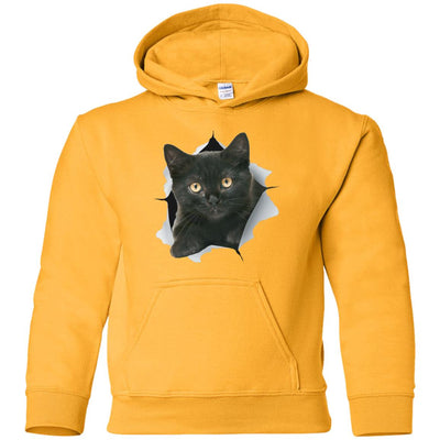 Black Kitten Youth Pullover Hoodie