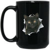 Black Kitten Drinkware