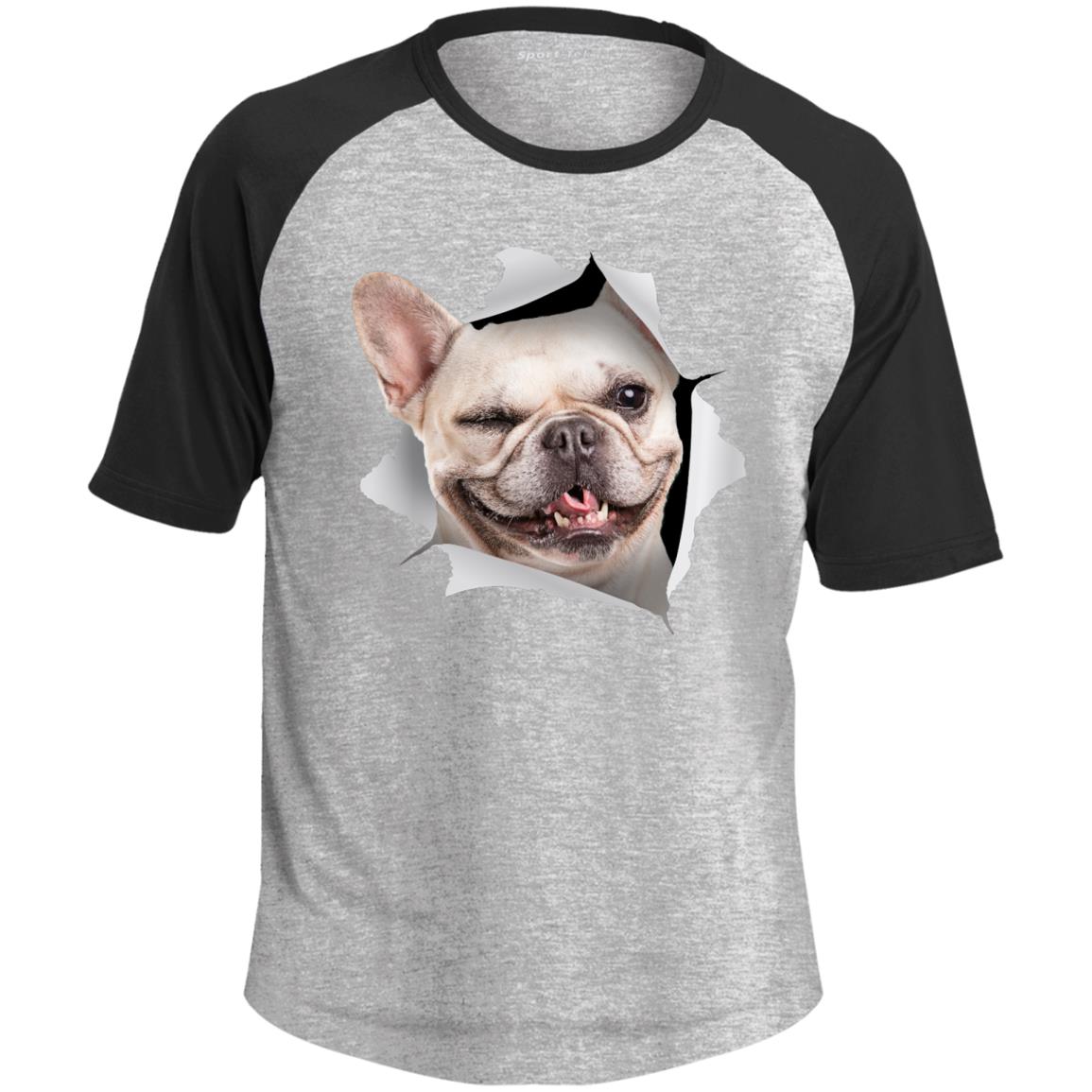 Winking Frenchie Colorblock Raglan Jersey T-Shirt