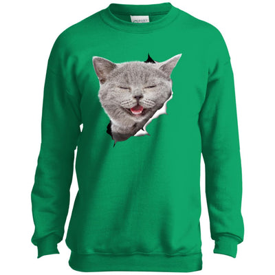 Grey Cat Laughing Youth Crewneck Sweatshirt