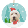 Custom Your Pet Christmas Ornaments