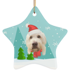 Custom Your Pet Christmas Ornaments