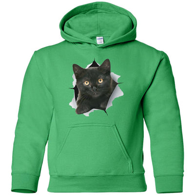 Black Kitten Youth Pullover Hoodie