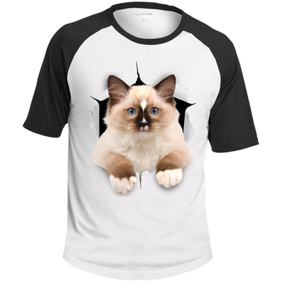 Brown Ragdoll Cat Colorblock Raglan Jersey T-Shirt