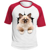 Brown Ragdoll Cat Colorblock Raglan Jersey T-Shirt