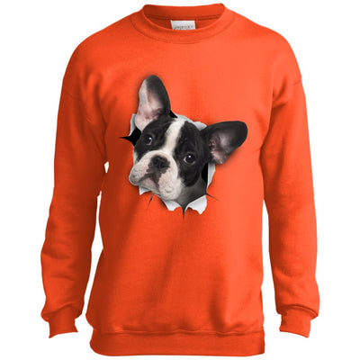Black & White Frenchie Youth Crewneck Sweatshirt