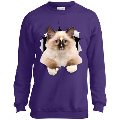 Brown Ragdoll Cat Youth Crewneck Sweatshirt