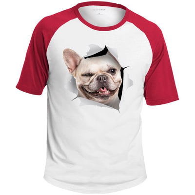 Winking Frenchie Colorblock Raglan Jersey T-Shirt