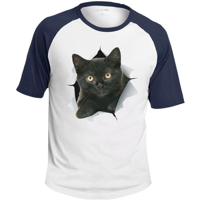 Black Kitten Colorblock Raglan Jersey T-Shirt