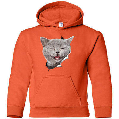 Grey Cat Laughing Youth Pullover Hoodie