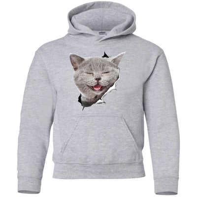 Grey Cat Laughing Youth Pullover Hoodie