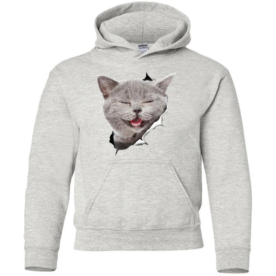 Grey Cat Laughing Youth Pullover Hoodie