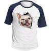 Winking Frenchie Colorblock Raglan Jersey T-Shirt