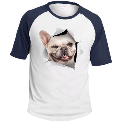 Winking Frenchie Colorblock Raglan Jersey T-Shirt