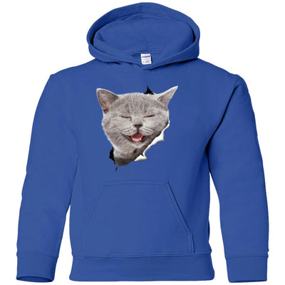 Grey Cat Laughing Youth Pullover Hoodie