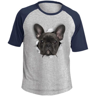 Black Frenchie Colorblock Raglan Jersey T-Shirt