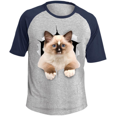 Brown Ragdoll Cat Colorblock Raglan Jersey T-Shirt