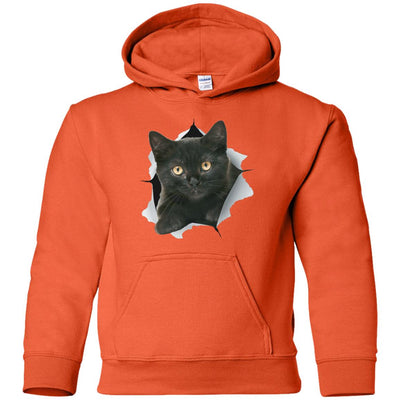 Black Kitten Youth Pullover Hoodie