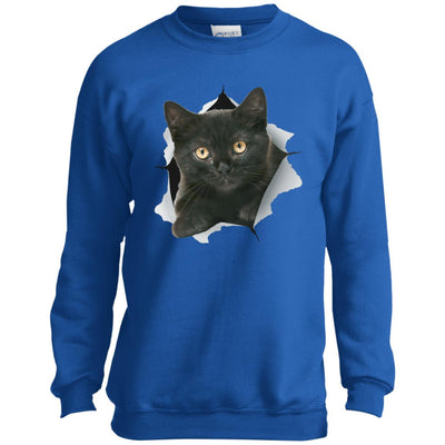 Black Kitten Youth Crewneck Sweatshirt