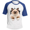 Brown Ragdoll Cat Colorblock Raglan Jersey T-Shirt