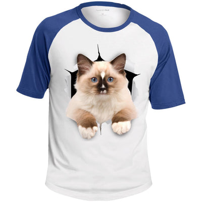 Brown Ragdoll Cat Colorblock Raglan Jersey T-Shirt
