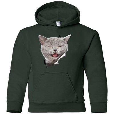 Grey Cat Laughing Youth Pullover Hoodie