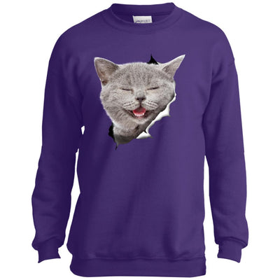 Grey Cat Laughing Youth Crewneck Sweatshirt