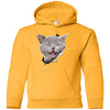 Grey Cat Laughing Youth Pullover Hoodie