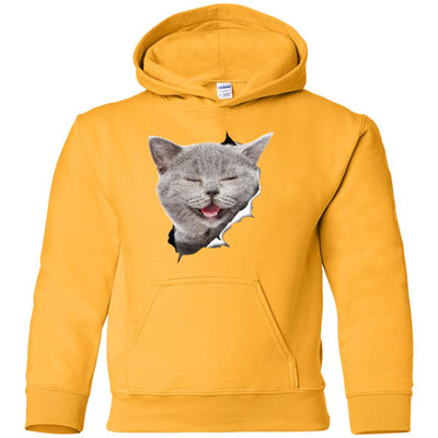 Grey Cat Laughing Youth Pullover Hoodie