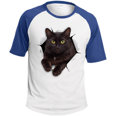 Black Cat Colorblock Raglan Jersey T-Shirt