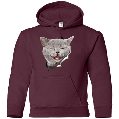 Grey Cat Laughing Youth Pullover Hoodie