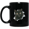 Black Kitten Drinkware