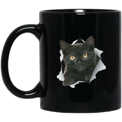 Black Kitten Drinkware