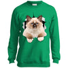 Brown Ragdoll Cat Youth Crewneck Sweatshirt