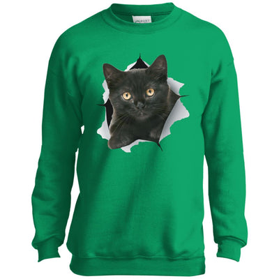 Black Kitten Youth Crewneck Sweatshirt