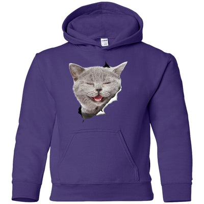 Grey Cat Laughing Youth Pullover Hoodie