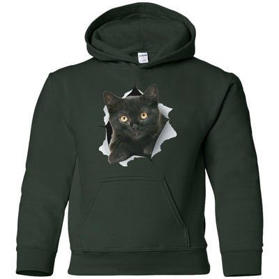 Black Kitten Youth Pullover Hoodie