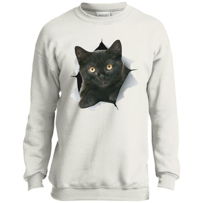 Black Kitten Youth Crewneck Sweatshirt