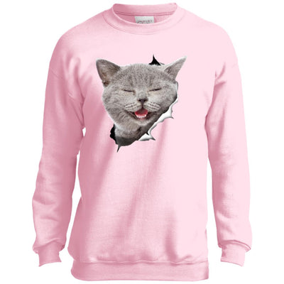 Grey Cat Laughing Youth Crewneck Sweatshirt