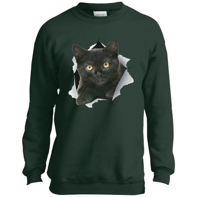 Black Kitten Youth Crewneck Sweatshirt