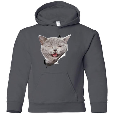 Grey Cat Laughing Youth Pullover Hoodie