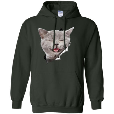 Grey Cat Laughing Pullover Hoodie